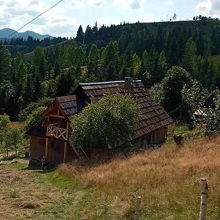 приватна 
