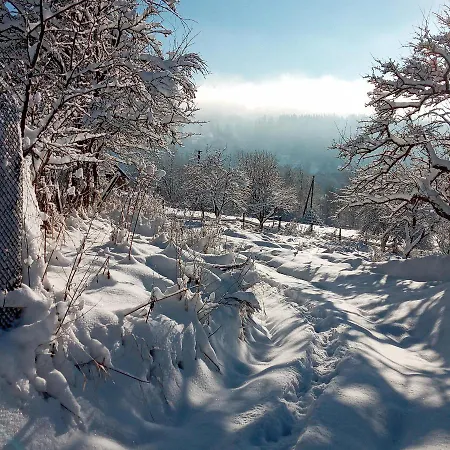 Apartment приватна 