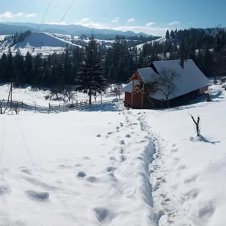 Apartment приватна 