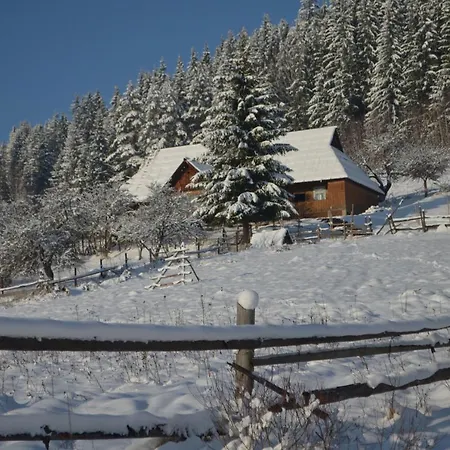 Apartment приватна 