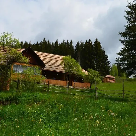 приватна 
